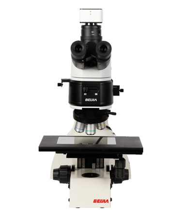 BM820金相显微镜